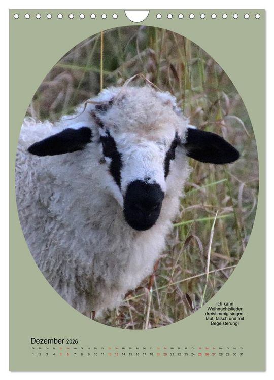 Produktbild: Scharfe Portraits (Wandkalender 2026 DIN A4 hoch), CALVENDO Monatskalender
