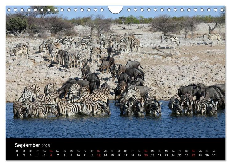 Produktbild: Eindr&uuml;cke aus Namibia (Wandkalender 2026 DIN A4 quer), CALVENDO Monatskalender