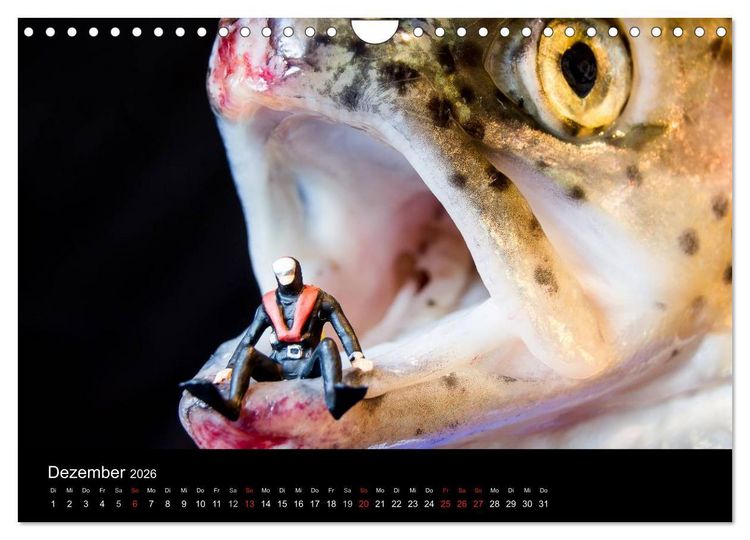Produktbild: Die wahren K&ouml;che (Wandkalender 2026 DIN A4 quer), CALVENDO Monatskalender