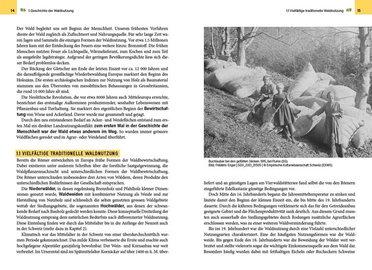 Produktbild: Waldbewirtschaftung in der Schweiz