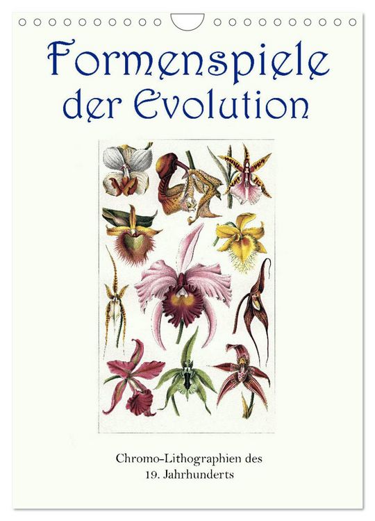 Produktbild: Formenspiele der Evolution. Chromolithographien des 19. Jahrhunderts (Wandkalender 2026 DIN A4 hoch), CALVENDO Monatskalender
