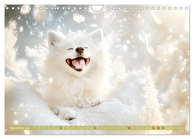 Produktbild: Pfoten Magie (Wandkalender 2026 DIN A4 quer), CALVENDO Monatskalender