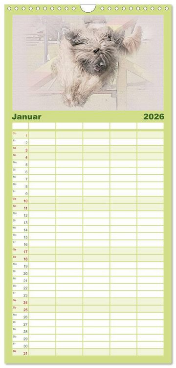 Produktbild: Familienplaner 2026 - Franz&ouml;sische Hirtenhunde 2026 mit 5 Spalten (Wandkalender, 21 x 45 cm) CALVENDO
