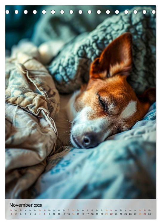 Produktbild: Jack Russel Terrier - furchtlos und viel Selbstvertrauen (Tischkalender 2026 DIN A5 hoch), CALVENDO Monatskalender