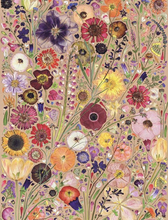 Produktbild: Beautiful Blooms Wrapping Paper Book