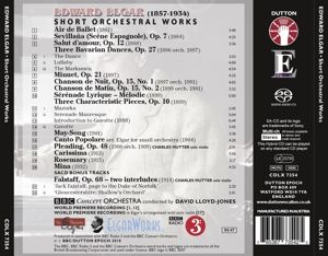 Produktbild: Kleine Orchesterwerke