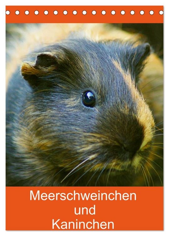 Produktbild: Meerschweinchen und Kaninchen Familienplaner (Tischkalender 2026 DIN A5 hoch), CALVENDO Monatskalender
