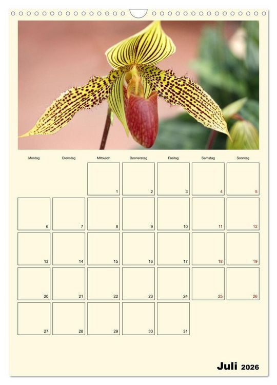 Produktbild: Orchideentr&auml;ume (Wandkalender 2026 DIN A3 hoch), CALVENDO Monatskalender