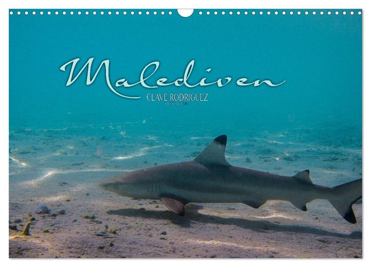 Produktbild: Unterwasserwelt der Malediven I (Wandkalender 2026 DIN A3 quer), CALVENDO Monatskalender