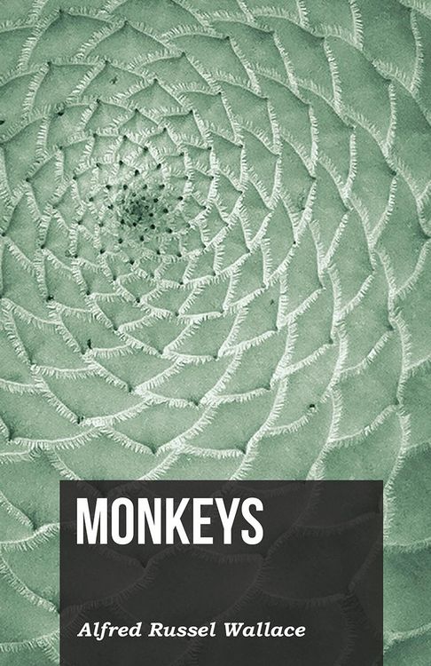 Produktbild: Monkeys