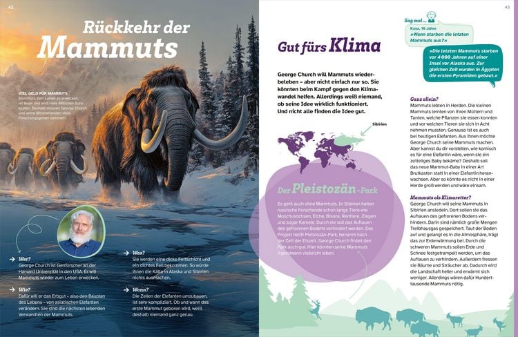 Produktbild: WAS IST WAS S&auml;ugetiere der Urzeit. Von Flugh&ouml;rnchen bis Mammut