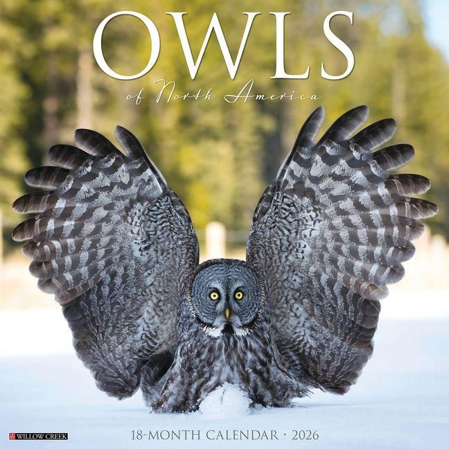 Produktbild: Owls 2026 Wall Calendar