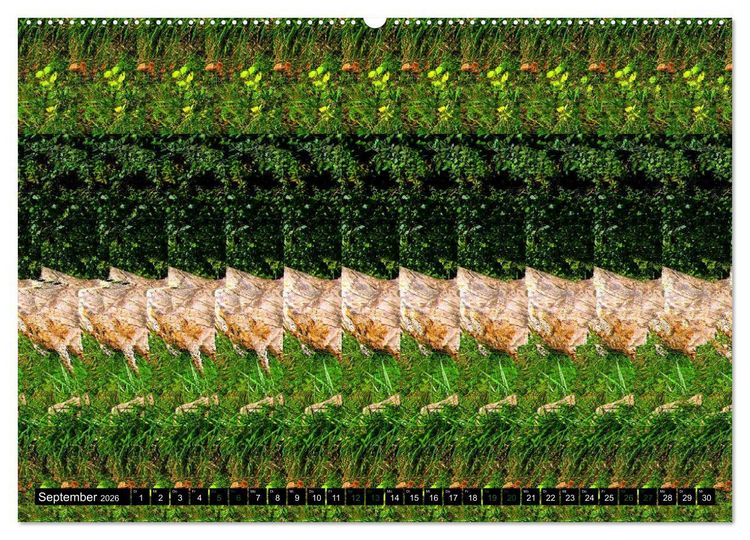 Produktbild: Magische Bilder - 3D Stereogramme (Wandkalender 2026 DIN A2 quer), CALVENDO Monatskalender