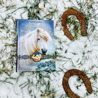 Produktbild: Die Pferde aus Galdur - Die silberne Spur
