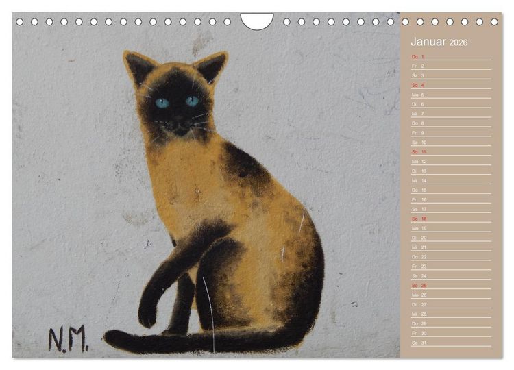 Produktbild: Flensburger Katzen (Wandkalender 2026 DIN A4 quer), CALVENDO Monatskalender