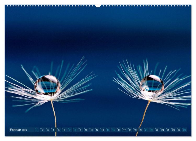 Produktbild: Die Welt in Blau (hochwertiger Premium Wandkalender 2026 DIN A2 quer), Kunstdruck in Hochglanz