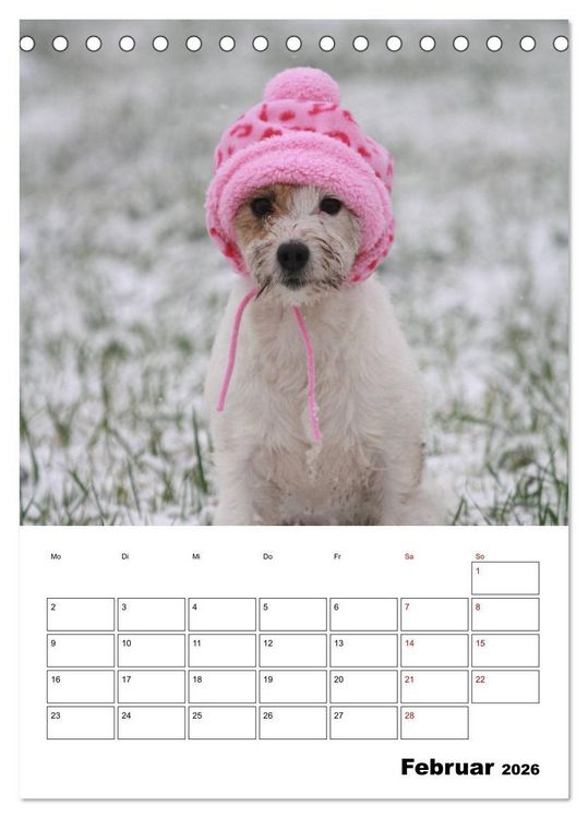 Produktbild: Tender Fellows - Parson Russell Terrier (Tischkalender 2026 DIN A5 hoch), CALVENDO Monatskalender