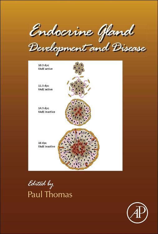 Produktbild: Endocrine Gland Development and Disease