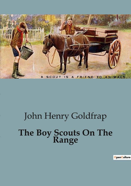 Produktbild: The Boy Scouts On The Range