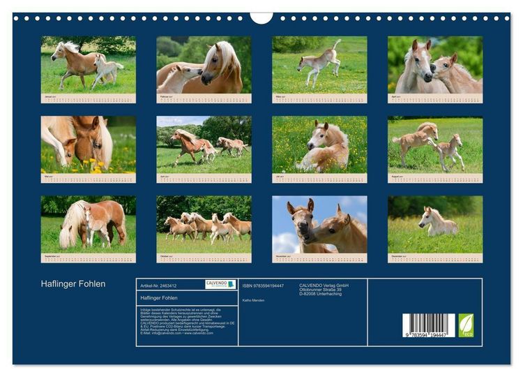 Produktbild: Haflinger Fohlen (Wandkalender 2027 DIN A3 quer), CALVENDO Monatskalender