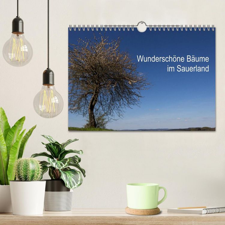 Produktbild: Wundersch&ouml;ne B&auml;ume im Sauerland (Wandkalender 2026 DIN A4 quer), CALVENDO Monatskalender