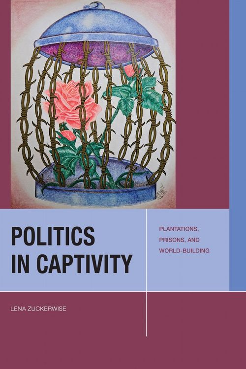 Produktbild: Politics in Captivity