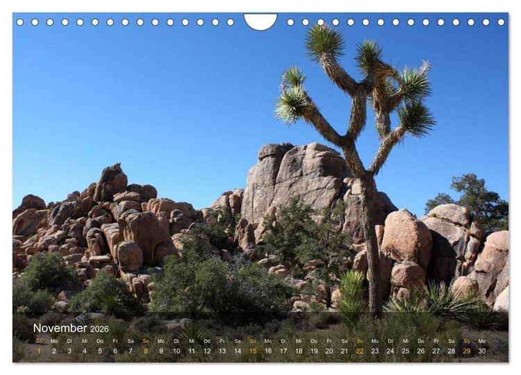 Produktbild: Der S&uuml;dwesten der USA (Wandkalender 2026 DIN A4 quer), CALVENDO Monatskalender