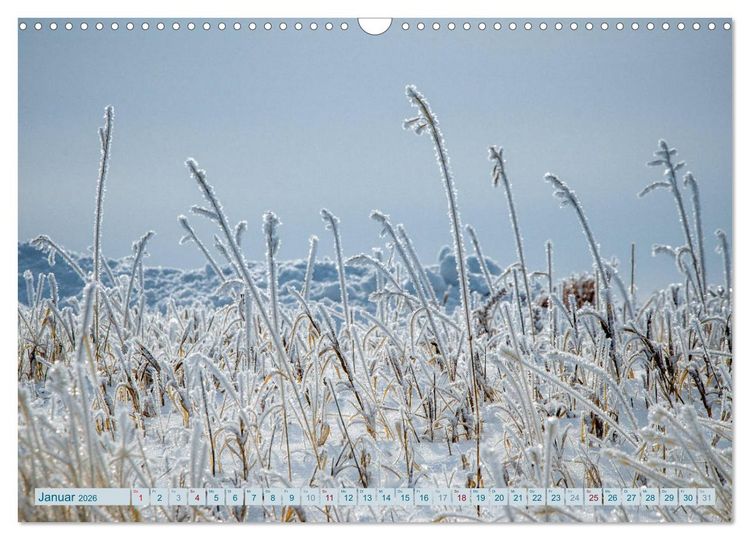Produktbild: Wildwuchs 2026 (Wandkalender 2026 DIN A3 quer), CALVENDO Monatskalender
