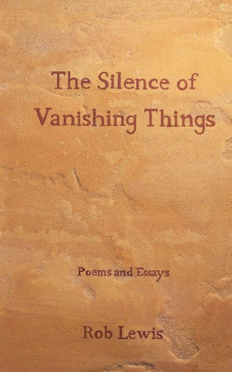 Produktbild: The Silence of Vanishing Things