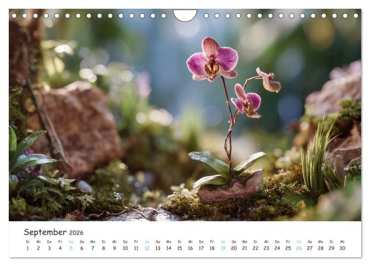 Produktbild: Im Schatten der Orchidee (Wandkalender 2026 DIN A4 quer), CALVENDO Monatskalender