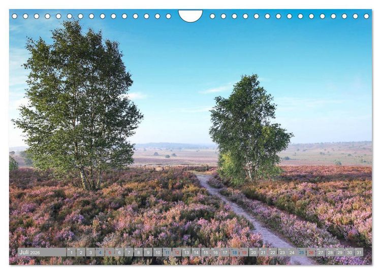 Produktbild: L&uuml;neburger Heide - Faszinierend sch&ouml;n (Wandkalender 2026 DIN A4 quer), CALVENDO Monatskalender