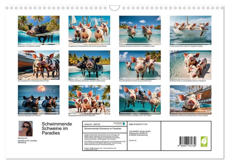 Produktbild: Schwimmende Schweine im Paradies (Wandkalender 2026 DIN A3 quer), CALVENDO Monatskalender