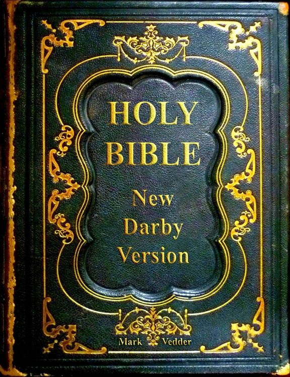 Produktbild: Holy Bible New Darby Version