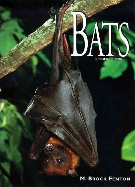 Produktbild: Bats