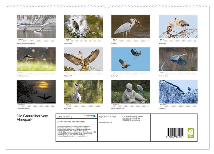 Produktbild: Die Graureiher vom Ahnepark (hochwertiger Premium Wandkalender 2026 DIN A2 quer), Kunstdruck in Hochglanz