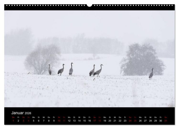 Produktbild: Naturwunder Norddeutschlands (hochwertiger Premium Wandkalender 2026 DIN A2 quer), Kunstdruck in Hochglanz