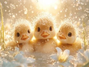 Produktbild: CALVENDO Puzzle So klein, so flauschig, so herzerw&auml;rmend | 1000 Teile Lege-Gr&ouml;&szlig;e 64x48cm Foto-Puzzle f&uuml;r gl&uuml;ckliche Stunden