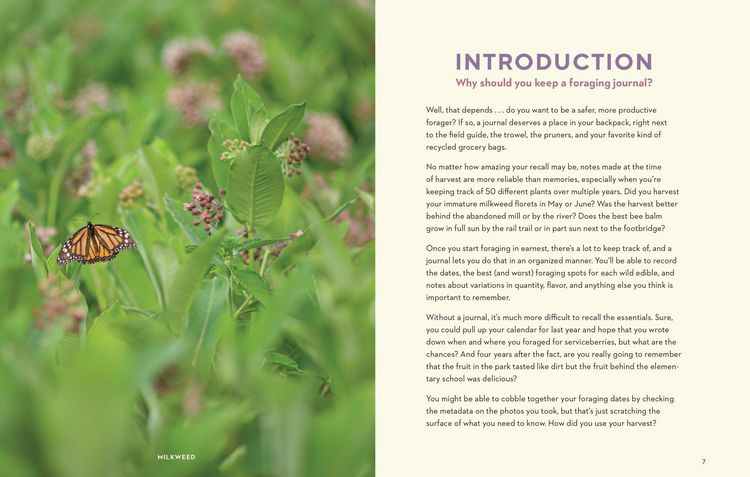 Produktbild: How to Forage for Wild Foods Without Dying Journal