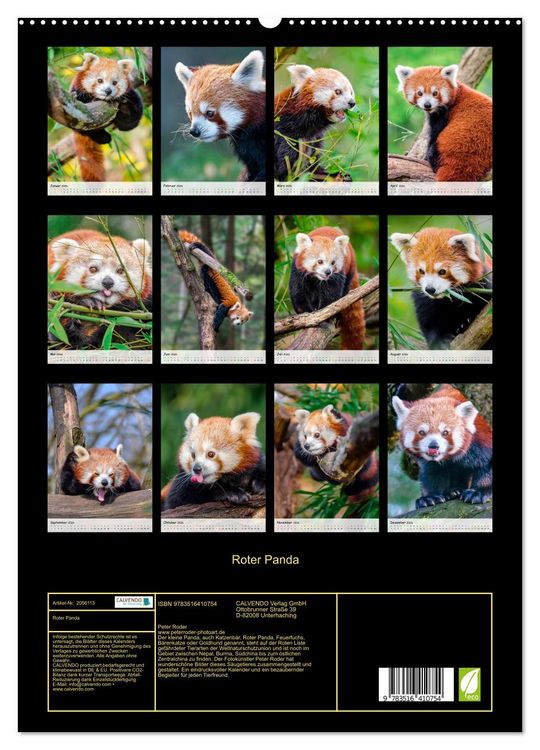 Produktbild: Roter Panda (Wandkalender 2026 DIN A2 hoch), CALVENDO Monatskalender