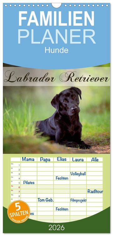 Produktbild: Familienplaner 2026 - Labrador Retriever mit 5 Spalten (Wandkalender, 21 x 45 cm) CALVENDO