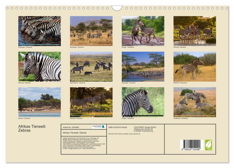 Produktbild: Afrikas Tierwelt: Zebras (Wandkalender 2026 DIN A3 quer), CALVENDO Monatskalender