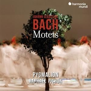 Produktbild: Johann Sebastian Bach: Motets