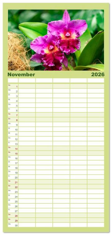 Produktbild: Familienplaner 2026 - Orchidaceae - Orchideen mit 5 Spalten (Wandkalender, 21 x 45 cm) CALVENDO