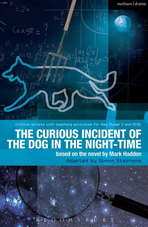 Produktbild: The Curious Incident of the Dog in the Night-Time