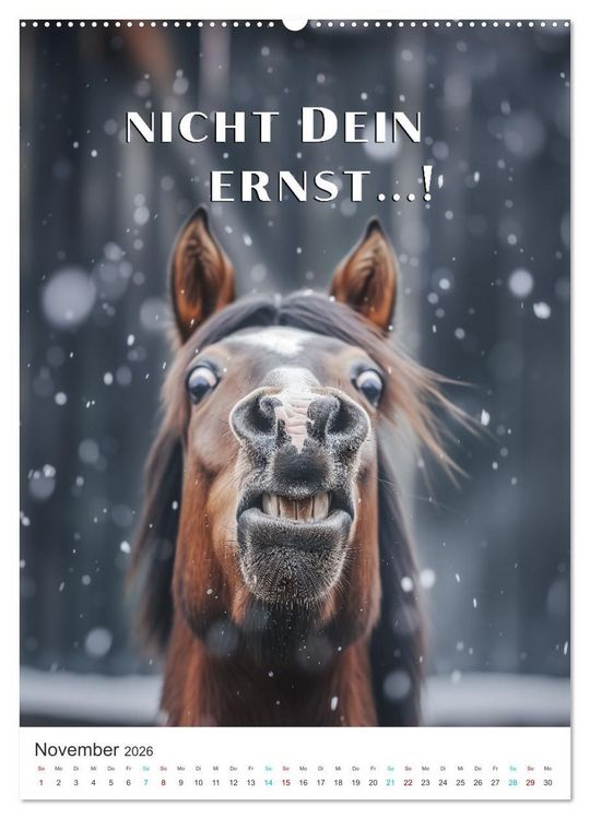 Produktbild: Lustige Tiere (hochwertiger Premium Wandkalender 2026 DIN A2 hoch), Kunstdruck in Hochglanz