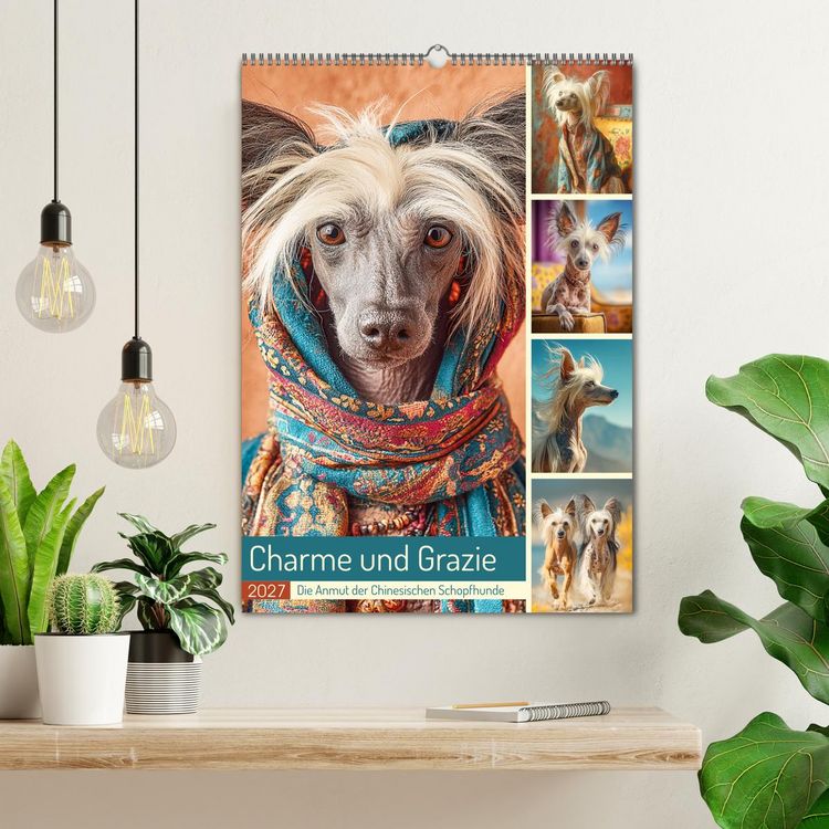 Produktbild: Charme und Grazie. Die Anmut der Chinesischen Schopfhunde (Wandkalender 2027 DIN A2 hoch), CALVENDO Monatskalender
