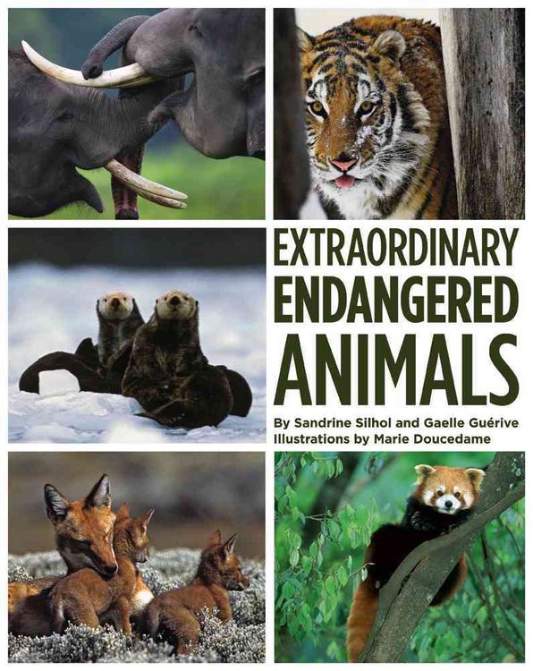 Produktbild: Silhol, S: Extraordinary Endangered Animals