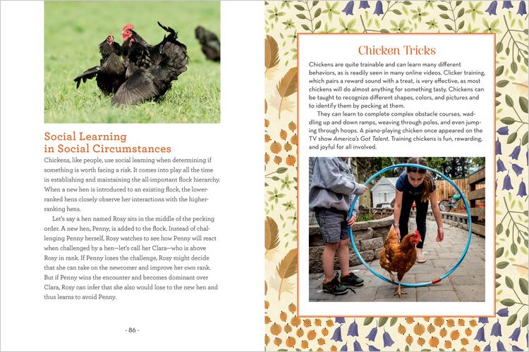 Produktbild: How to Read a Chicken's Mind