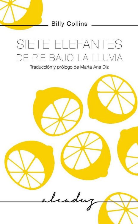Produktbild: Siete elefantes de pie bajo la lluvia
