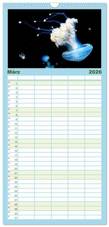 Produktbild: Familienplaner 2026 - Tiefsee - Ein Abenteuer ins Unbekannte. mit 5 Spalten (Wandkalender, 21 x 45 cm) CALVENDO